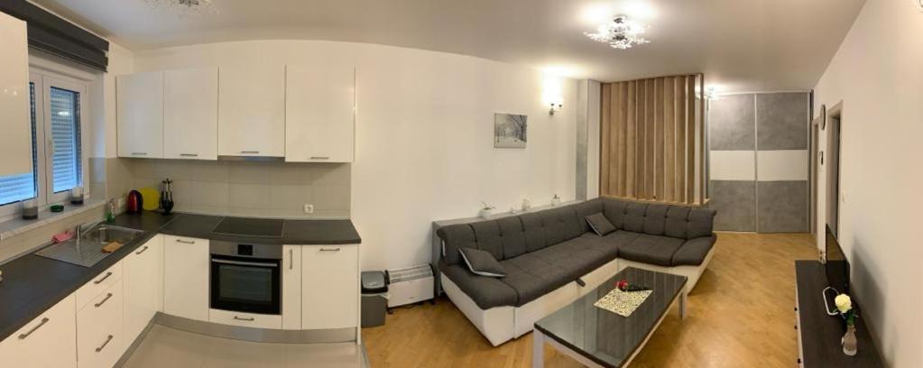 Apartman Bistrica リヴノ エクステリア 写真